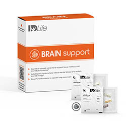 Brain Support